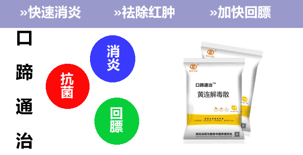 豬口蹄疫權威治療方案