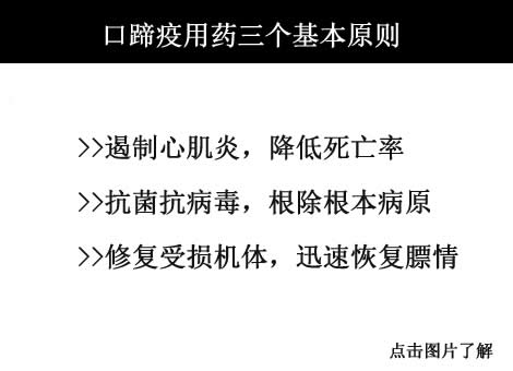 豬口蹄疫權威治療方案