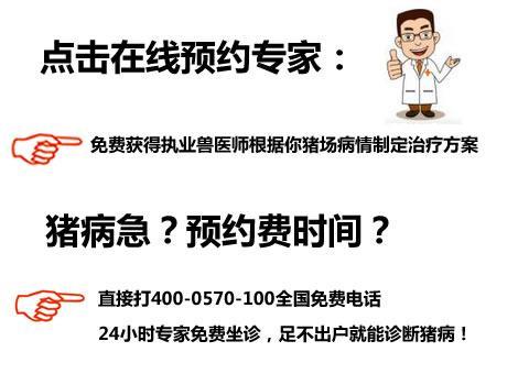 仔豬白痢防治用什么藥